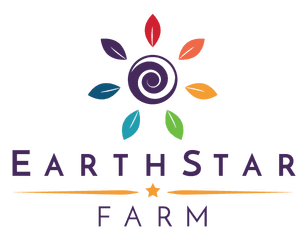Earthstar Farm - Aran - Beach Pebble — Fiber Yarns
